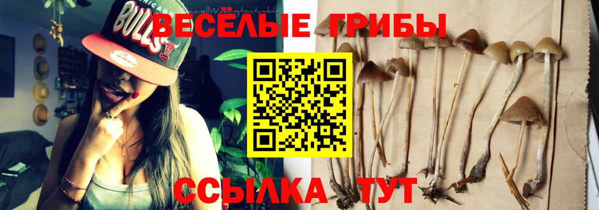 Галлюциногенные грибы Cubensis  Псилоцибиновые грибы мицелий  сколько стоит  Избербаш  Вход с VPN 
